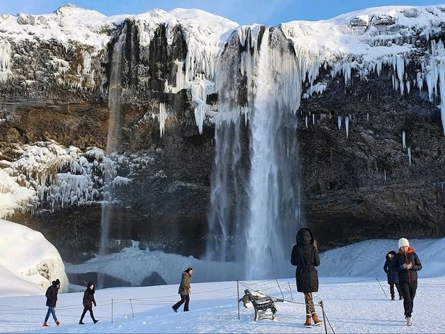 “The Floating Jewels of Iceland”