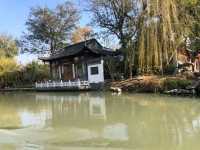 Yangzhou Gem🌳