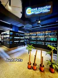 Whiskers, Scales & Tiny Wonders at Just Pets Megastore