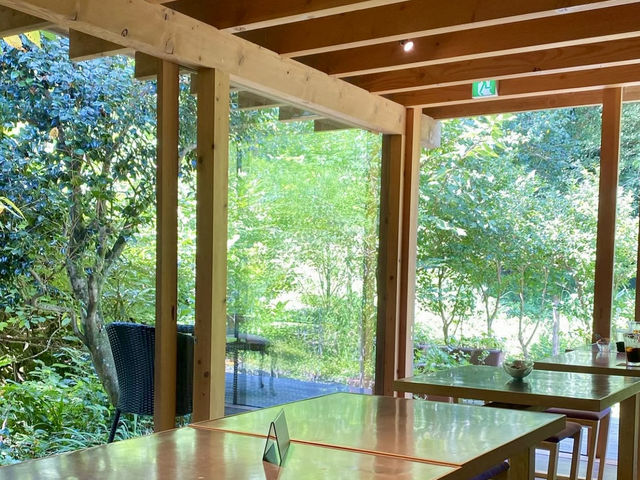 Lunch with a View at Garden Cafe Ripple, Atami 🌿 Lunch with a View at Garden Cafe Ripple, Atami 🌿