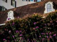 Winterthur Museum, Garden & Library