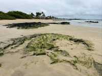 Isla Isabela Discover Untamed Beauty