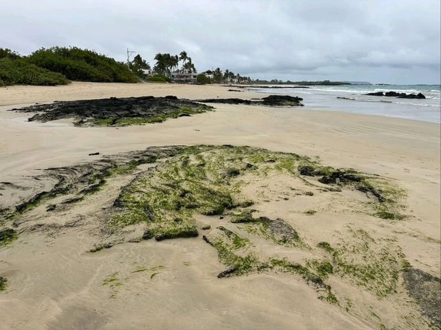 Isla Isabela Discover Untamed Beauty Isla Isabela Discover Untamed Beauty