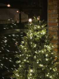 겨울겨울 🎄🎅🏻✨느낌 낭낭한 카투 하고 싶다면!!!