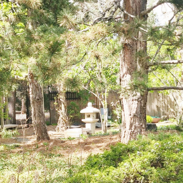 The Soloist's Mile-High Zen: Shofu-en Revisited