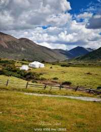 Epic Nature Escape: Daocheng, Yajiang & Litang Road Trip 🌄