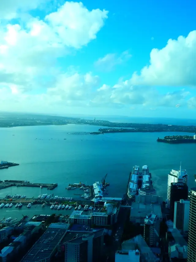 Exploring Auckland, New Zealand