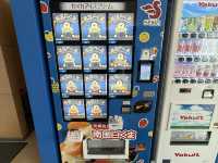 桜島も見える！ロケーション最高の水族館