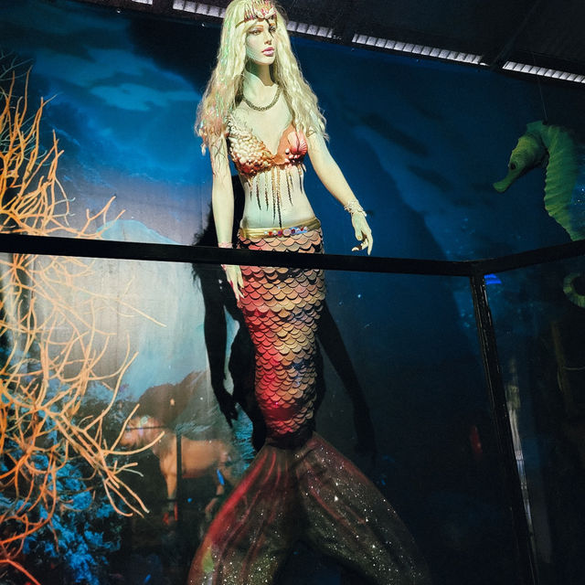 เที่ยว Butterfly Creek มุมธรรมชาติในโอ๊คแลนด์ เที่ยว Butterfly Creek มุมธรรมชาติในโอ๊คแลนด์