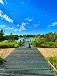🌿 St. Patrick’s Island – Calgary’s Urban Nature Escape