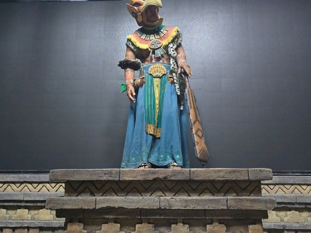 Highlights of Vinwonders Highlights of Vinwonders