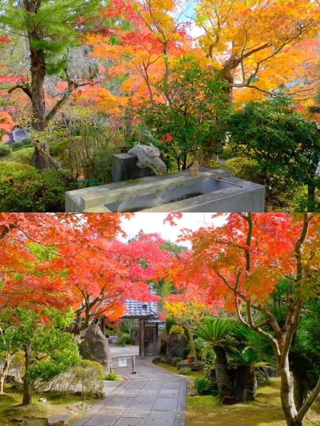 京都小眾賞楓秘境|正法寺禪意紅葉之旅🍁 京都小眾賞楓秘境|正法寺禪意紅葉之旅🍁