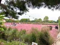 ํํฌ๋ฎฌ๋ฆฌ์์ ์ธ์์ท ๊ฐ๋ฅ!! ํํ ์ฌ์ง๋ช
์, ์์์ถ์ฒ!!