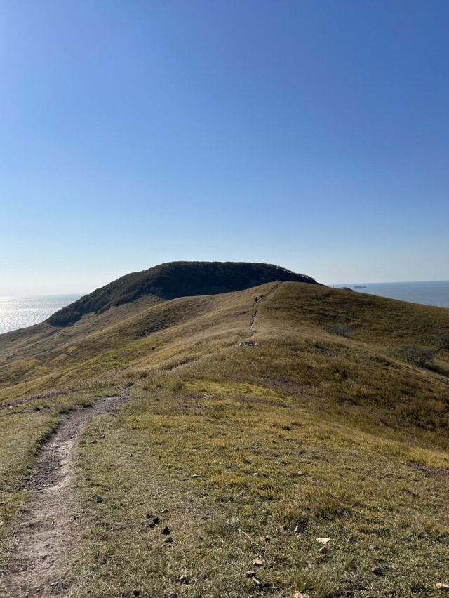 시간이 천천히 흐르는 섬, 굴업도