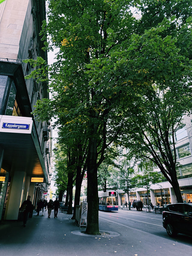 Zurich Streetscape🌳 Zurich Streetscape🌳