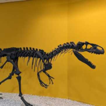 Natural Science Museum of Valencia – Exploring the Wonders of Life and Earth