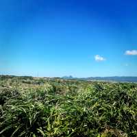 Family Visit to Eluanbi Lighthouse Before Christmas Shopping