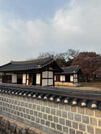 Tradition Awaits🏮