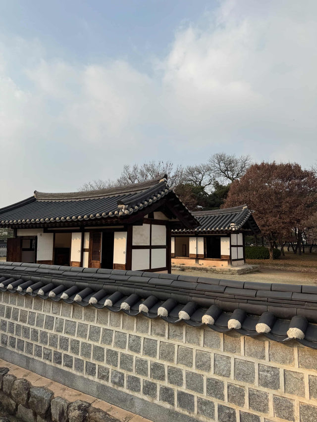 Tradition Awaits🏮 Tradition Awaits🏮