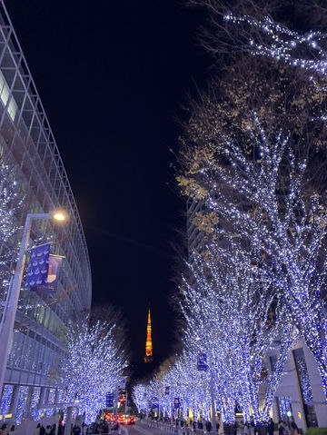 🎄日本東京｜六本木聖誕點燈 冬天限定的浪漫光之道