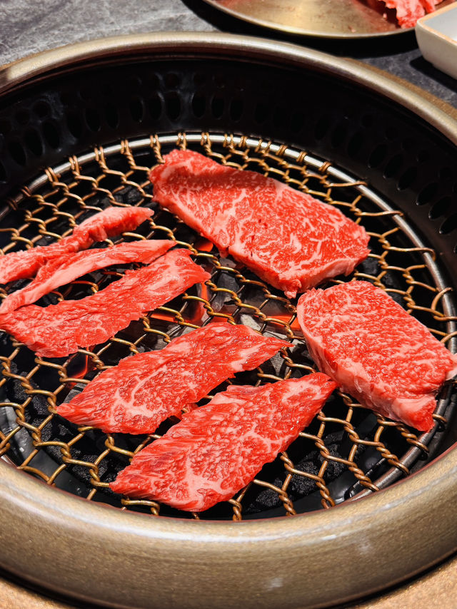 ๋๋ฆ๊ฐ๋น ๋๋ฆ๊ฐ๋น