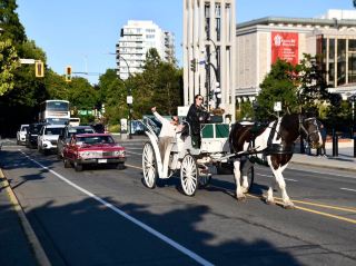 街歩きが好きで、歴史と現代建築の融合を愛するなら、ダウンタウン・ビクトリアはバンクーバー島旅行のプランにぜひ加えたい場所です。ブリティッシュコロンビアならではの雰囲気だけでなく、夕日に照らされた街並みのきらめく光とレトロな建築物も魅力で、思わず写真を撮りたくなるでしょう。

街の見どころ
ダウンタウン・ビクトリアは歩行者天国です。柔らかな夕陽の中、通りを散策し、歴史的な建物の前を急ぎ足で歩く人々を眺め、近代的なショッピングモールと何世紀も昔の遺跡がシームレスに繋がっている様子を体感してください。この豊かな文化的な雰囲気こそが、まさにビクトリアならではの魅力です。