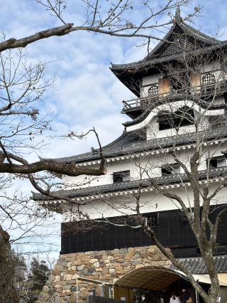 A Stroll Through the Sengoku Era: A One-Day Journey from Matsumoto to Nagoya