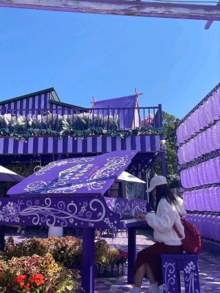 The Most Instagrammable Spot in Miaoli: A Purple Fairytale at Ohana Cafe
