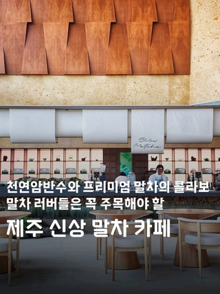 말차 러버 필독📢 제주 신상 역대급 말차 카페 탄생🍵‼️