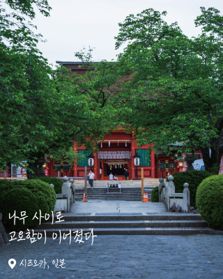 Time Spent at the Shrine Among the Trees.