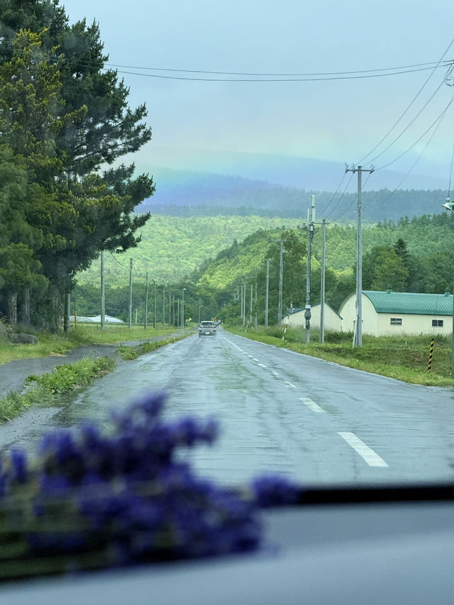 TOLL COSTS IN HOKKAIDO 💴💴🚐🚐