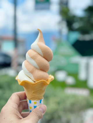 全家清境雲海店｜海拔2052公尺的便利商店