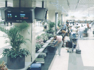 #arrivalguide  

Just landed in Singapore and started your adventure right at Changi Airport? 🛬✨ Sounds wild, but trust me—this place is so much more than just a transit hub. Think lush gardens, an indoor waterfall, and foodie paradise rolled into one! Your layover or arrival can honestly feel like a mini-vacation.

Top Things to See & Do at Changi Airport:
🌳 The Jewel – Don’t miss the HSBC Rain Vortex (the world’s tallest indoor waterfall!) and the Shiseido Forest Valley. Address: 78 Airport Blvd, open 24/7. Snap Insta-worthy pics and enjoy the cool air before you even enter the city.
🍜 Food Galore – Try local faves like kaya toast at Ya Kun Kaya Toast or chill with a bubble tea at Fun Toast, both inside Jewel. Pro tip: Pick up Singaporean snacks from FairPrice Finest (Level B2) for later.
🦋 Butterfly Garden – Terminal 3 has a free, open-air butterfly garden (Level 2, Departure Transit Hall). It’s a quirky, peaceful escape if you need a breath of fresh air between flights.
🎬 Entertainment Zones – Movie theaters in Terminal 2 & 3 are open 24 hrs and totally free for transit passengers. Perfect way to chill if you’re waiting for your next connection.
🛝 Slide @ T3 – If you’re with kids (or just young at heart), take a ride down this epic four-story slide in Terminal 3! It’s open 12-10pm.

Getting Around: The airport’s Skytrain links all terminals, and the MRT station is in the basement of Terminal 2 and Jewel—super easy to connect with the city.
Insider Tip: If you’ve got a 5+ hour layover, stash your bags in Left Baggage and explore outside (or just go wild inside Jewel).
No visa needed for most tourists (check your passport’s rules!), and Singapore money works everywhere in the airport.
#SingaporeAirport  #ChangiJewel  #ChangiLife  #LayoverGoals 