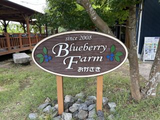 Blueberry buffet Okazaki