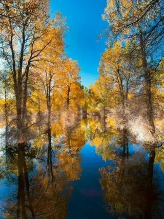 🍂 Ejina | Where Heaven Painted in Gold