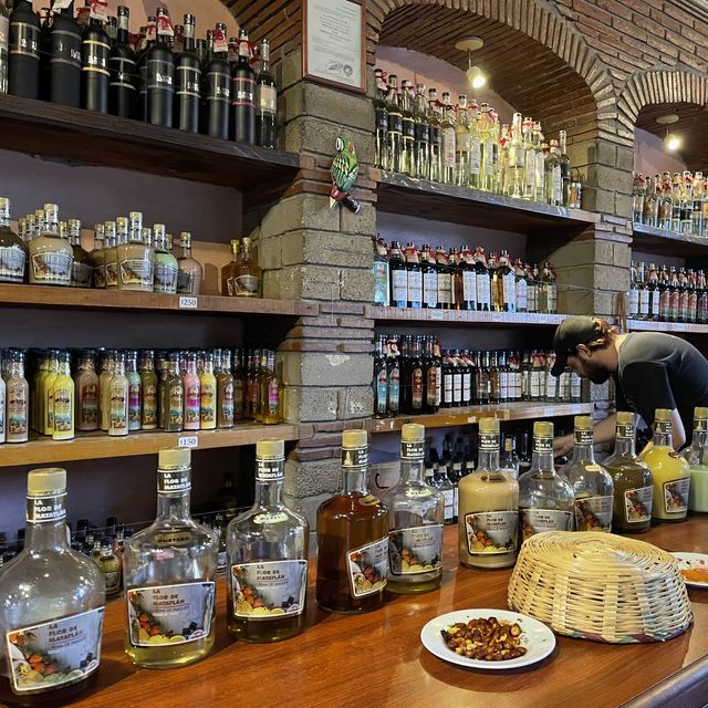 멋있는 자연, 맛있는 음식, 경제적인 가격으로 여행할 수 있는 Mexico Oaxaca! 