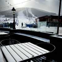 Winter paradise 