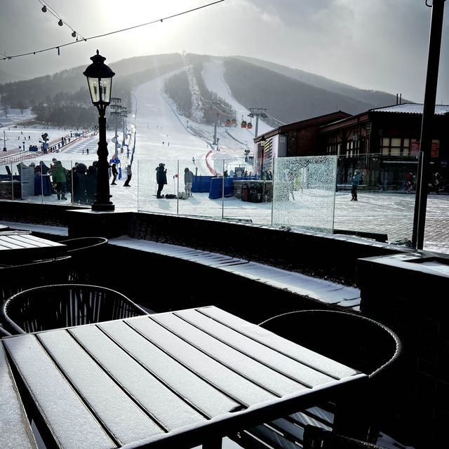 Winter paradise 