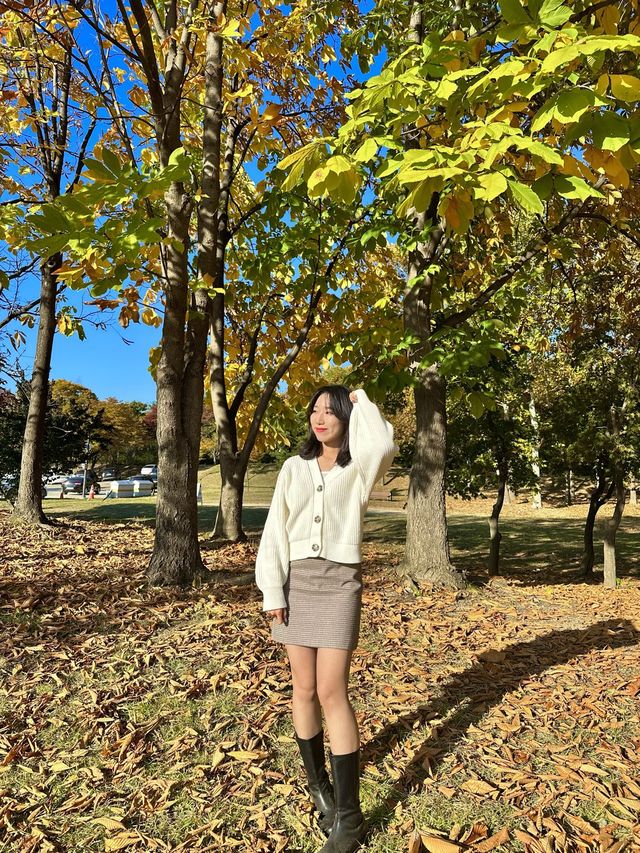 차크닉 피크닉 모두 가능한 무료 공원