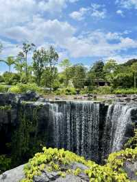 翎羽樂園：漫步新加坡飛禽公園