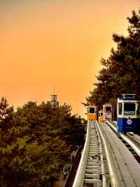 3days/2 nights South Korea tour 2025