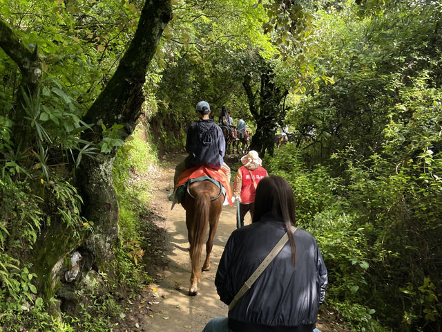 走一段千年商道，聽見馬蹄聲中的時光——麗江茶馬古道探訪記