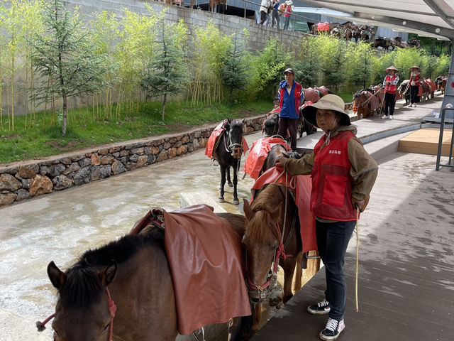 走一段千年商道，聽見馬蹄聲中的時光——麗江茶馬古道探訪記