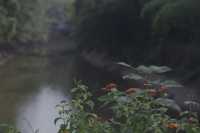 Southern Hot Spring Park (南温泉公园) — Tranquil Escape in Chongqing