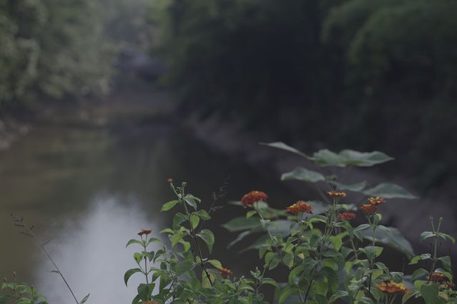 Southern Hot Spring Park (南温泉公园) — Tranquil Escape in Chongqing