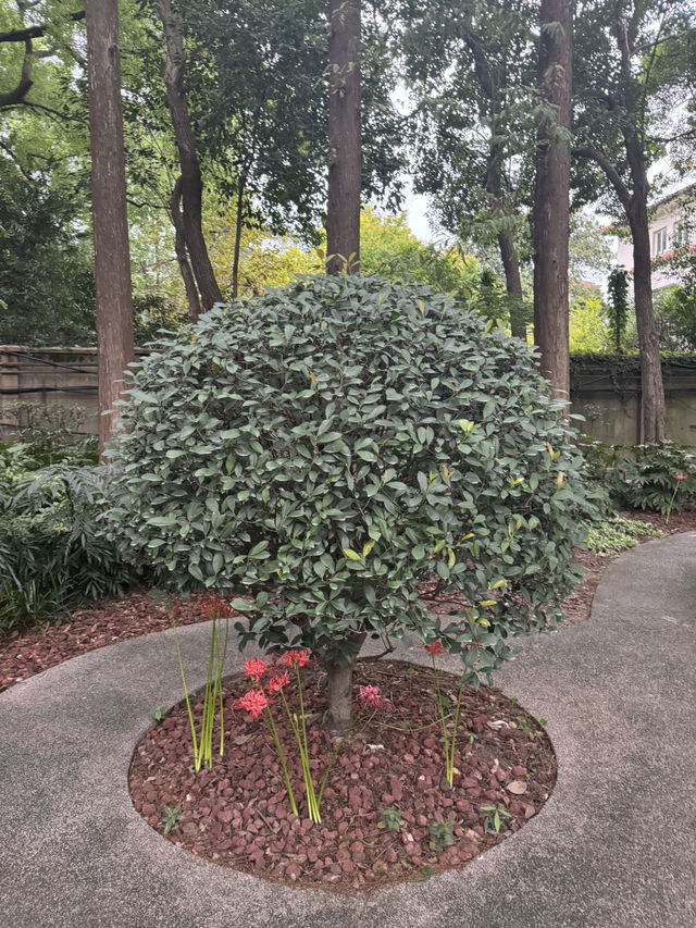 Fuxing Park, Shanghai