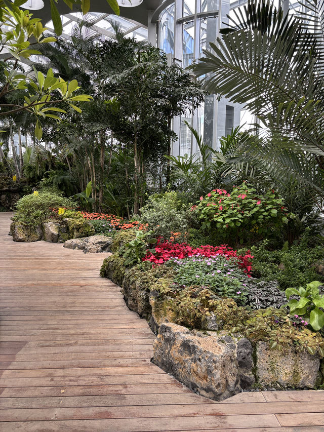 Shanghai Greenhouse Garden