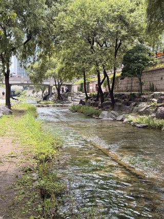 Cheonggyecheon – A Peaceful Stream in the Heart of Seoul