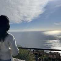 선인장 가든🌵+ 맑은 날씨☀️= 💝