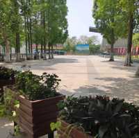 Visiting Huai'an Zoo